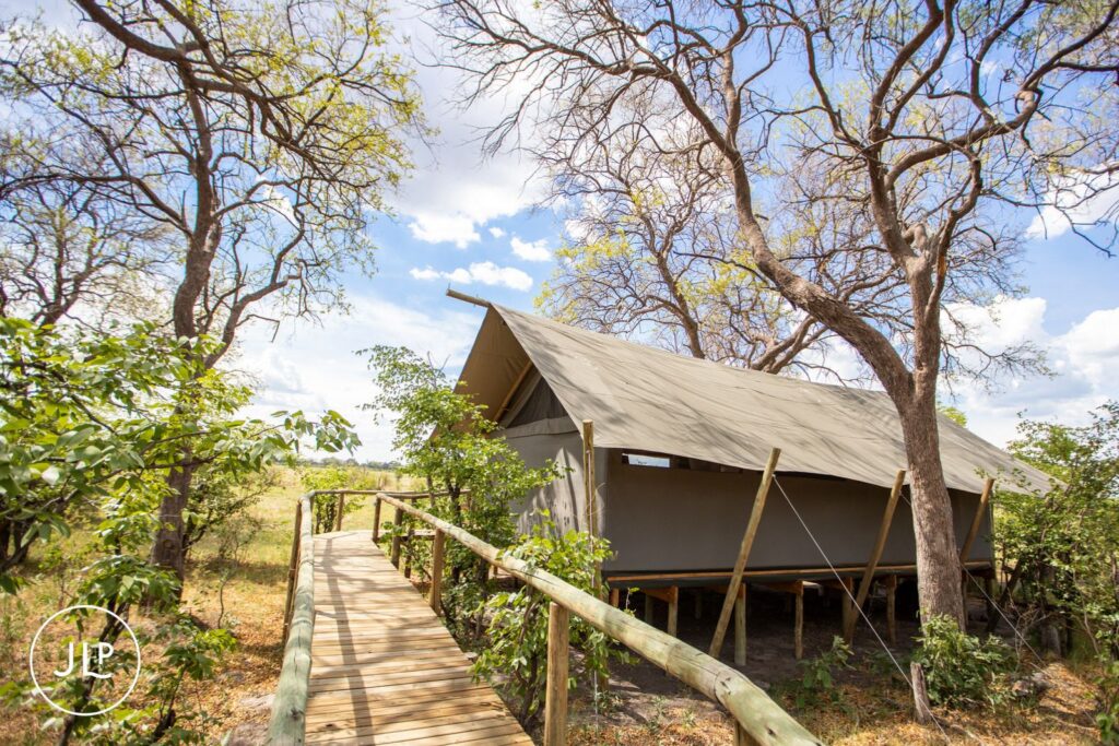 Wide shot of a luxury safari wedding Botswana tented suite with a wooden walkway stretching through the trees.
