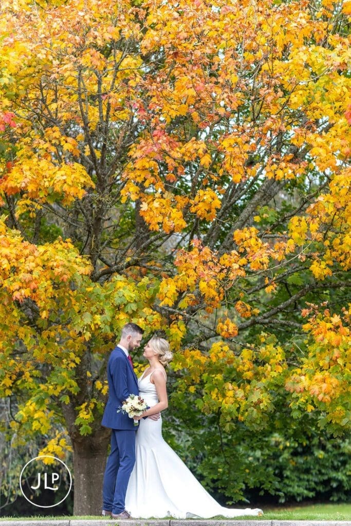 A couple portrait beneath vibrant orange autumn tree leaves.