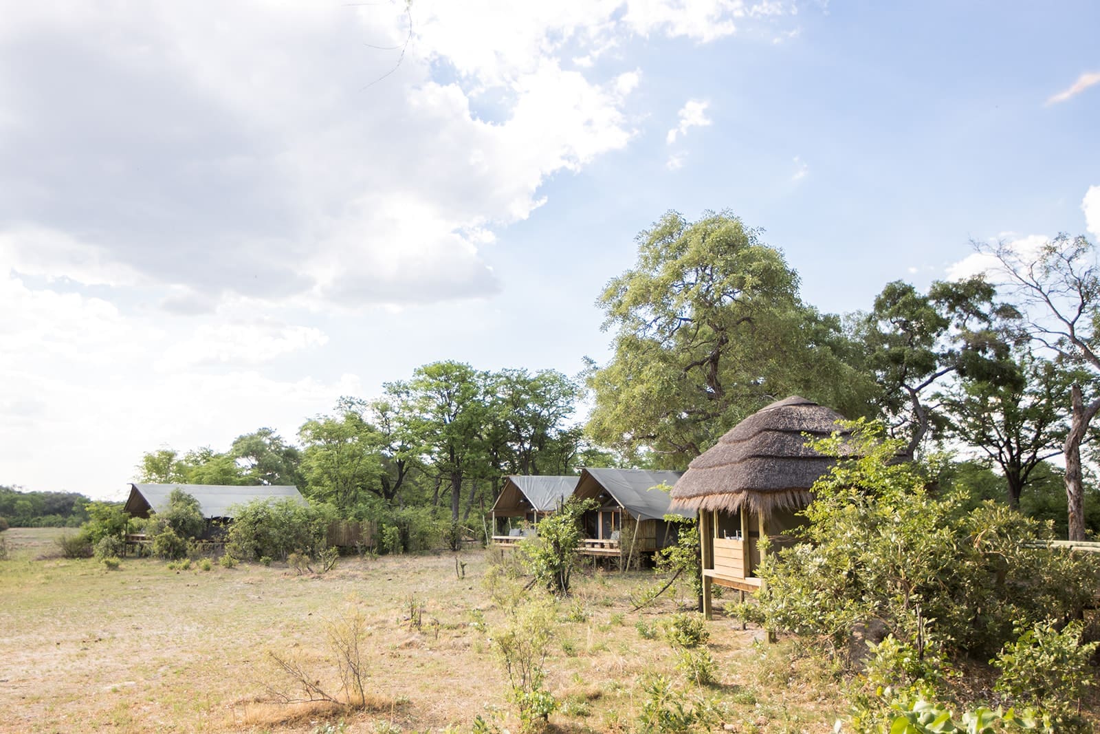 Luxury safari accommodation suites surrounded by wilderness at Sable Alley lodge.